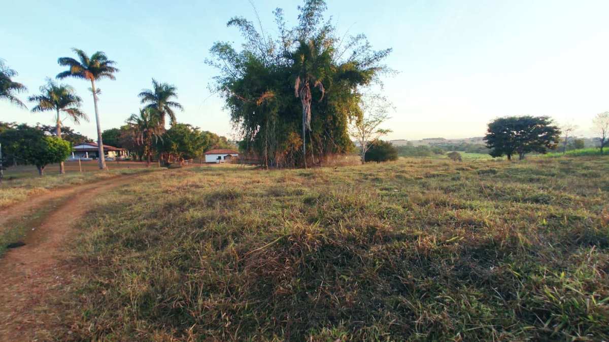 Fazenda à venda em Brazabrantes, com 3 quartos, 9Alqueires Goiano